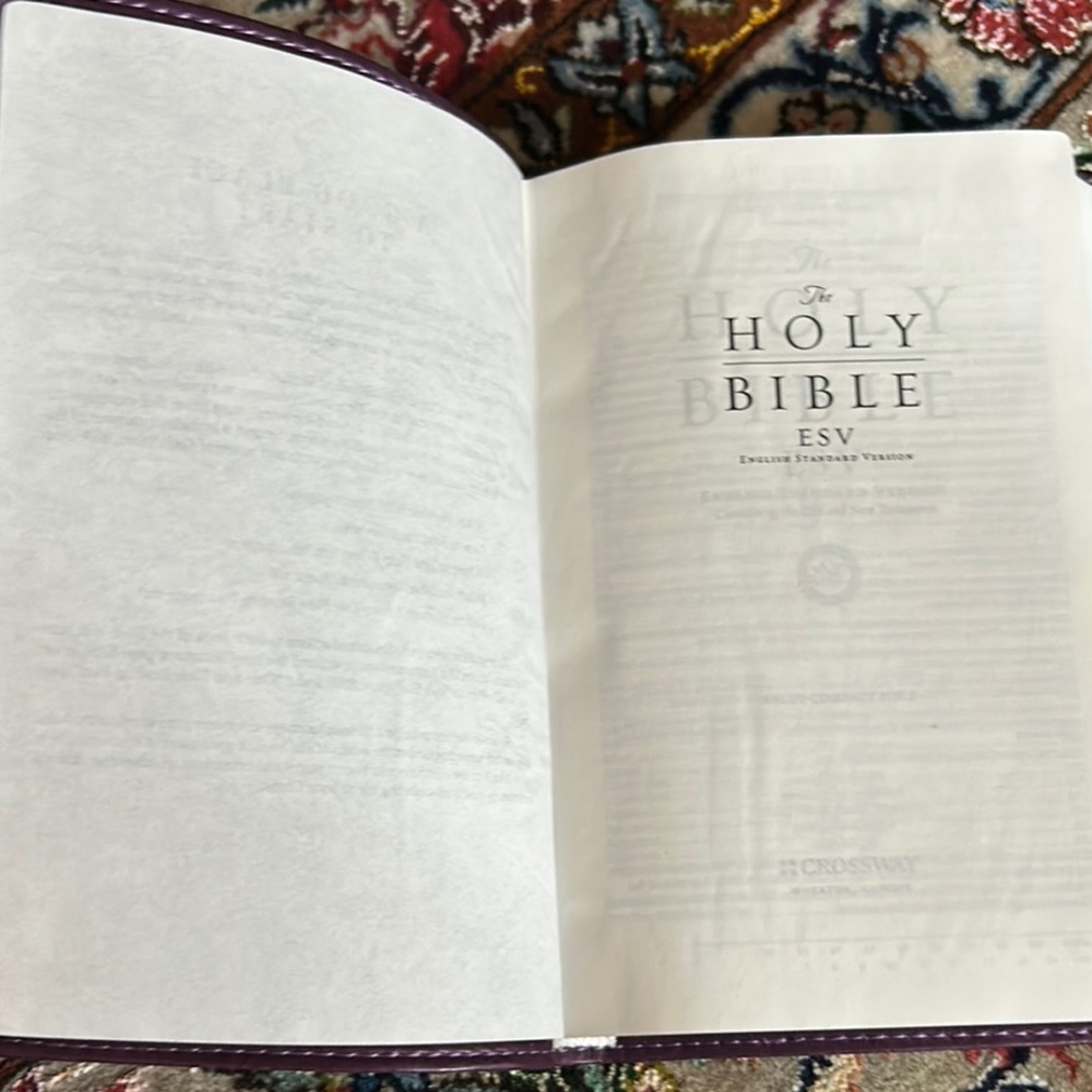 NWOT Purple ESV Holy Bible